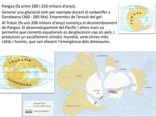 Pangea (fa entre 200 i 250 milions d'anys).
Generar una glaciació com per exemple durant el carbonífer a
Gondwana (360 - 285 Ma). Empremtes de l’erosió del gel.
Al Triàsic (fa uns 208 milions d'anys) comença el desmembrament
de Pangea. El desenvolupament del Pacífic i altres mars va
permetre que corrents equatorials es desplacessin cap als pols, i
produïssin un escalfament climàtic mundial, amb climes més
càlids i humits, que van afavorir l'emergència dels dinosaures.
 