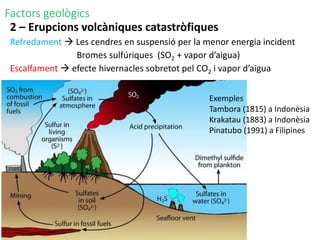 Factors geològics
2 – Erupcions volcàniques catastròfiques
Refredament  Les cendres en suspensió per la menor energia incident
Bromes sulfúriques (SO2 + vapor d’aigua)
Escalfament  efecte hivernacles sobretot pel CO2 i vapor d’aigua
Exemples
Tambora (1815) a Indonèsia
Krakatau (1883) a Indonèsia
Pinatubo (1991) a Filipines
 