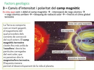 Factors geològics
3 – Canvis d’intensitat i polaritat del camp magnètic
Es creu que com + dèbil el camp magnètic  - intercepció de raigs còsmics 
+ raigs còsmics arriben  + bloqueig de radiació solar  + fred és el clima global
terrestre
 
