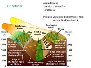 Orientació
Acció del vent
canalitzi o intensifiqui
protegeixi
Insolació vessant sud a l’hemisferi nord
vessant N a l’hemisferi S
 