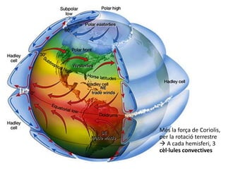 Més la força de Coriolis,
per la rotació terrestre
 A cada hemisferi, 3
cèl·lules convectives
 
