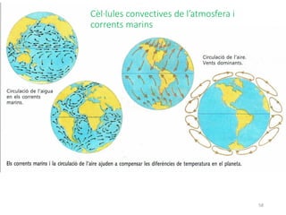 58
Cèl·lules convectives de l’atmosfera i
corrents marins
 