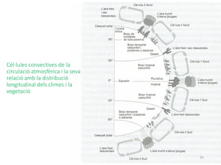 59
Cèl·lules convectives de la
circulació atmosfèrica i la seva
relació amb la distribució
longitudinal dels climes i la
vegetació
 