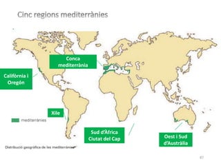 87
Conca
mediterrània
Oest i Sud
d’Austràlia
Sud d’Àfrica
Ciutat del Cap
Xile
Califòrnia i
Oregón
 