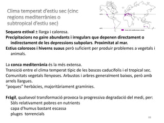 88
Sequera estival ± llarga i calorosa.
Precipitacions no gaire abundants i irregulars que depenen directament o
indirectament de les depressions subpolars. Proximitat al mar.
Estius calorosos i hiverns suaus però suficient per produir problemes a vegetals i
animals.
La conca mediterrània és la més extensa.
Transició entre el clima temperat típic de les boscos caducifolis i el tropical sec.
Comunitats vegetals llenyoses. Arbustos i arbres generalment baixos, però amb
arrels llargues.
“poques” herbàcies, majoritàriament gramínies.
Fràgil, qualsevol transformació provoca la progressiva degradació del medi, per:
Sòls relativament pobres en nutrients
capa d'humus bastant escassa
pluges torrencials
 