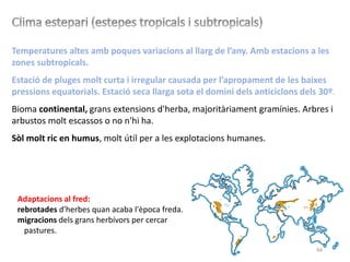 94
Temperatures altes amb poques variacions al llarg de l’any. Amb estacions a les
zones subtropicals.
Estació de pluges molt curta i irregular causada per l’apropament de les baixes
pressions equatorials. Estació seca llarga sota el domini dels anticiclons dels 30º.
Bioma continental, grans extensions d'herba, majoritàriament gramínies. Arbres i
arbustos molt escassos o no n'hi ha.
Sòl molt ric en humus, molt útil per a les explotacions humanes.
Adaptacions al fred:
rebrotades d'herbes quan acaba l'època freda.
migracions dels grans herbívors per cercar
pastures.
 