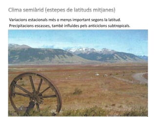Variacions estacionals més o menys important segons la latitud.
Precipitacions escasses, també influïdes pels anticiclons subtropicals.
 