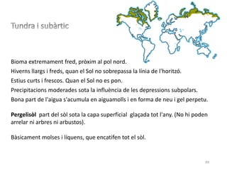 99
Bioma extremament fred, pròxim al pol nord.
Hiverns llargs i freds, quan el Sol no sobrepassa la línia de l'horitzó.
Estius curts i frescos. Quan el Sol no es pon.
Precipitacions moderades sota la influència de les depressions subpolars.
Bona part de l'aigua s'acumula en aiguamolls i en forma de neu i gel perpetu.
Pergelisòl part del sòl sota la capa superficial glaçada tot l'any. (No hi poden
arrelar ni arbres ni arbustos).
Bàsicament molses i líquens, que encatifen tot el sòl.
 