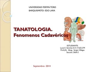 UNIVERSIDAD FERMIN TORO 
BARQUISIMETO- EDO LARA 
TTAANNAATTOOLLOOGGIIAA.. 
FFeennoommeennooss CCaaddaavvéérriiccooss 
ESTUDIANTE: 
Lucia E. Sánchez G.V-17.625.379 
Prof.(A): Abog. Sergio Villegas 
Sección: SAIA E 
Septiembre- 2014 
 