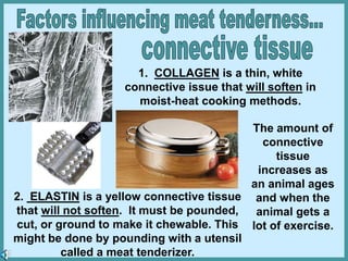 1. COLLAGEN is a thin, white
connective issue that will soften in
moist-heat cooking methods.
2. ELASTIN is a yellow connective tissue
that will not soften. It must be pounded,
cut, or ground to make it chewable. This
might be done by pounding with a utensil
called a meat tenderizer.
The amount of
connective
tissue
increases as
an animal ages
and when the
animal gets a
lot of exercise.
 
