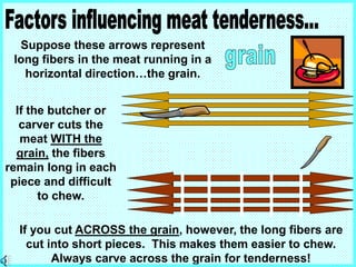 If the butcher or
carver cuts the
meat WITH the
grain, the fibers
remain long in each
piece and difficult
to chew.
If you cut ACROSS the grain, however, the long fibers are
cut into short pieces. This makes them easier to chew.
Always carve across the grain for tenderness!
Suppose these arrows represent
long fibers in the meat running in a
horizontal direction…the grain.
 