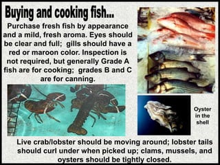 Purchase fresh fish by appearance
and a mild, fresh aroma. Eyes should
be clear and full; gills should have a
red or maroon color. Inspection is
not required, but generally Grade A
fish are for cooking; grades B and C
are for canning.
Live crab/lobster should be moving around; lobster tails
should curl under when picked up; clams, mussels, and
oysters should be tightly closed.
Oyster
in the
shell
 