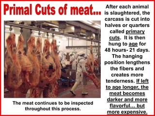 After each animal
is slaughtered, the
carcass is cut into
halves or quarters
called primary
cuts. It is then
hung to age for
48 hours- 21 days.
The hanging
position lengthens
the fibers and
creates more
tenderness. If left
to age longer, the
meat becomes
darker and more
flavorful… but
more expensive.
The meat continues to be inspected
throughout this process.
 
