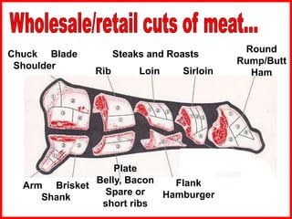Arm Brisket
Shank
Chuck Blade
Shoulder
Plate
Belly, Bacon
Spare or
short ribs
Flank
Hamburger
Rib Loin Sirloin
Round
Rump/Butt
Ham
Steaks and Roasts
 
