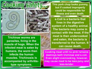 This pork chop looks yummy,
but if cooked improperly
could be responsible for
illness and even death.
Trichinae worms are
parasites, living in the
muscle of hogs. When the
infected meat is eaten by
humans, the worm then
infects the human
muscles. Trichinosis is
accompanied by arthritis-
type symptoms.
e.Coli is a bacteria that
lives in the digestive
system of a healthy animal.
The bacteria may come in
contact with the meat. If the
meat is then undercooked
and eaten, the bacteria is
transferred to the human. It
can cause death.
Cooking meat until no pink remains
destroys both trichinae and e.coli.
Even slight overcooking, however,
may cause meat to be less-juicy and
less-tender.
 