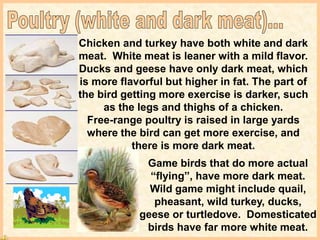 Chicken and turkey have both white and dark
meat. White meat is leaner with a mild flavor.
Ducks and geese have only dark meat, which
is more flavorful but higher in fat. The part of
the bird getting more exercise is darker, such
as the legs and thighs of a chicken.
Free-range poultry is raised in large yards
where the bird can get more exercise, and
there is more dark meat.
Game birds that do more actual
“flying”, have more dark meat.
Wild game might include quail,
pheasant, wild turkey, ducks,
geese or turtledove. Domesticated
birds have far more white meat.
 