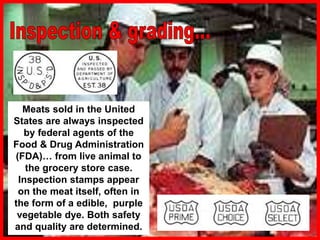 Meats sold in the United
States are always inspected
by federal agents of the
Food & Drug Administration
(FDA)… from live animal to
the grocery store case.
Inspection stamps appear
on the meat itself, often in
the form of a edible, purple
vegetable dye. Both safety
and quality are determined.
 