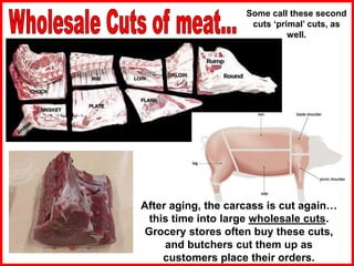 After aging, the carcass is cut again…
this time into large wholesale cuts.
Grocery stores often buy these cuts,
and butchers cut them up as
customers place their orders.
Some call these second
cuts ‘primal’ cuts, as
well.
 