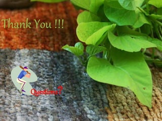 Thank You !!!
Questions?
 