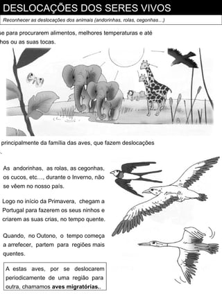 DESLOCAÇÕES DOS SERES VIVOS
     Reconhecer as deslocações dos animais (andorinhas, rolas, cegonhas…)

se para procurarem alimentos, melhores temperaturas e até
hos ou as suas tocas.




 principalmente da família das aves, que fazem deslocações
s.

     As andorinhas, as rolas, as cegonhas,
     os cucos, etc…, durante o Inverno, não
     se vêem no nosso país.

     Logo no início da Primavera, chegam a
     Portugal para fazerem os seus ninhos e
     criarem as suas crias, no tempo quente.

     Quando, no Outono, o tempo começa
     a arrefecer, partem para regiões mais
     quentes.

      A estas aves, por se deslocarem
      periodicamente de uma região para
      outra, chamamos aves migratórias..
 