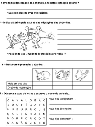 e nome tem a deslocação dos animais, em certas estações do ano ?



      • Dá exemplos de aves migratórias.



5 – Indica as principais causas das migrações das cegonhas.




      • Para onde vão ? Quando regressam a Portugal ?



  6 – Descobre e preenche o quadro.




       Meio em que vive
       Órgão de locomoção

7 – Observa a sopa de letras e escreve o nome de animais…

                                           • que nos transportam :



                                           • que nos defendem :



                                           • que nos alimentam :
 