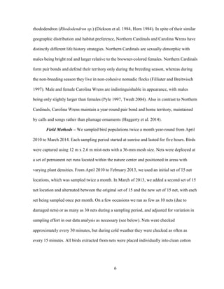 6
rhododendron (Rhododendron sp.) (Dickson et al. 1984, Horn 1984). In spite of their similar
geographic distribution and habitat preference, Northern Cardinals and Carolina Wrens have
distinctly different life history strategies. Northern Cardinals are sexually dimorphic with
males being bright red and larger relative to the browner-colored females. Northern Cardinals
form pair bonds and defend their territory only during the breeding season, whereas during
the non-breeding season they live in non-cohesive nomadic flocks (Filliater and Breitwisch
1997). Male and female Carolina Wrens are indistinguishable in appearance, with males
being only slightly larger than females (Pyle 1997, Twedt 2004). Also in contrast to Northern
Cardinals, Carolina Wrens maintain a year-round pair bond and home territory, maintained
by calls and songs rather than plumage ornaments (Haggerty et al. 2014).
Field Methods – We sampled bird populations twice a month year-round from April
2010 to March 2014. Each sampling period started at sunrise and lasted for five hours. Birds
were captured using 12 m x 2.6 m mist-nets with a 36-mm mesh size. Nets were deployed at
a set of permanent net runs located within the nature center and positioned in areas with
varying plant densities. From April 2010 to February 2013, we used an initial set of 15 net
locations, which was sampled twice a month. In March of 2013, we added a second set of 15
net location and alternated between the original set of 15 and the new set of 15 net, with each
set being sampled once per month. On a few occasions we ran as few as 10 nets (due to
damaged nets) or as many as 30 nets during a sampling period, and adjusted for variation in
sampling effort in our data analysis as necessary (see below). Nets were checked
approximately every 30 minutes, but during cold weather they were checked as often as
every 15 minutes. All birds extracted from nets were placed individually into clean cotton
 