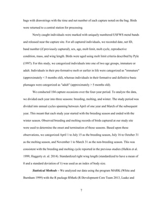 7
bags with drawstrings with the time and net number of each capture noted on the bag. Birds
were returned to a central station for processing.
Newly caught individuals were marked with uniquely numbered USFWS metal bands
and released near the capture site. For all captured individuals, we recorded date, net ID,
band number (if previously captured), sex, age, molt limit, molt cycle, reproductive
condition, mass, and wing length. Birds were aged using molt limit criteria described by Pyle
(1997). For this study, we categorized individuals into one of two age groups, immature or
adult. Individuals in their pre-formative molt or earlier in life were categorized as "immature"
(approximately < 5 months old), whereas individuals in their formative and definitive basic
plumages were categorized as "adult" (approximately > 5 months old).
We conducted 104 capture occasions over the four-year period. To analyze the data,
we divided each year into three seasons: breeding, molting, and winter. The study period was
divided into annual cycles spanning between April of one year and March of the subsequent
year. This meant that each study year started with the breeding season and ended with the
winter season. Observed breeding and molting records of birds captured at our study site
were used to determine the onset and termination of those seasons. Based upon these
observations, we categorized April 1 to July 15 as the breeding season, July 16 to October 31
as the molting season, and November 1 to March 31 as the non-breeding season. This was
consistent with the breeding and molting cycle reported in the previous studies (Halkin et al.
1999, Haggerty et. al. 2014). Standardized right wing length (standardized to have a mean of
0 and a standard deviation of 1) was used as an index of body size.
Statistical Methods – We analyzed our data using the program MARK (White and
Burnham 1999) with the R package RMark (R Development Core Team 2013, Laake and
 