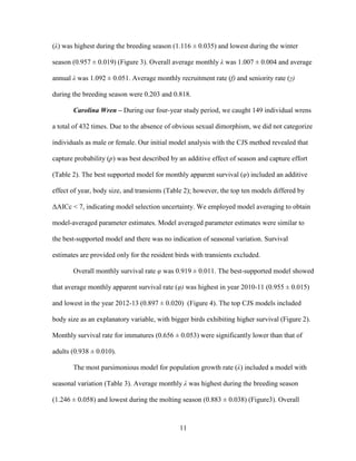 11
(λ) was highest during the breeding season (1.116 ± 0.035) and lowest during the winter
season (0.957 ± 0.019) (Figure 3). Overall average monthly λ was 1.007 ± 0.004 and average
annual λ was 1.092 ± 0.051. Average monthly recruitment rate (f) and seniority rate (γ)
during the breeding season were 0.203 and 0.818.
Carolina Wren – During our four-year study period, we caught 149 individual wrens
a total of 432 times. Due to the absence of obvious sexual dimorphism, we did not categorize
individuals as male or female. Our initial model analysis with the CJS method revealed that
capture probability (p) was best described by an additive effect of season and capture effort
(Table 2). The best supported model for monthly apparent survival (φ) included an additive
effect of year, body size, and transients (Table 2); however, the top ten models differed by
ΔAICc < 7, indicating model selection uncertainty. We employed model averaging to obtain
model-averaged parameter estimates. Model averaged parameter estimates were similar to
the best-supported model and there was no indication of seasonal variation. Survival
estimates are provided only for the resident birds with transients excluded.
Overall monthly survival rate φ was 0.919 ± 0.011. The best-supported model showed
that average monthly apparent survival rate (φ) was highest in year 2010-11 (0.955 ± 0.015)
and lowest in the year 2012-13 (0.897 ± 0.020) (Figure 4). The top CJS models included
body size as an explanatory variable, with bigger birds exhibiting higher survival (Figure 2).
Monthly survival rate for immatures (0.656 ± 0.053) were significantly lower than that of
adults (0.938 ± 0.010).
The most parsimonious model for population growth rate (λ) included a model with
seasonal variation (Table 3). Average monthly λ was highest during the breeding season
(1.246 ± 0.058) and lowest during the molting season (0.883 ± 0.038) (Figure3). Overall
 