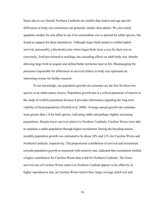 16
biases due to sex (female Northern Cardinals are smaller than males) and age specific
differences in body size (immatures are generally smaller than adults). We also tested
quadratic models for size effect to see if an intermediate size is optimal for either species, but
found no support for these alternatives. Although larger birds tended to exhibit higher
survival, presumably a threshold exists where larger birds incur a cost for their size or,
conversely, food provisioned to nestlings, has cascading effects on adult body size, thereby
allowing large birds to acquire and defend better territories later in life. Disentangling the
processes responsible for differences in survival relative to body size represents an
interesting avenue for further research.
To our knowledge, our population growth rate estimates are the first for these two
species in an urban nature reserve. Population growth rate is a critical parameter of interest in
the study of wildlife population because it provides information regarding the long-term
viability of focal populations (Nichols et al. 2000). Average annual growth rate estimates
were greater than 1.0 for both species, indicating stable and perhaps slightly increasing
populations. Despite lower survival relative to Northern Cardinals, Carolina Wrens were able
to maintain a stable population through higher recruitment. During the breeding season,
monthly population growth was estimated to be about 24% and 11% for Carolina Wrens and
Northern Cardinals, respectively. The proportional contribution of survival and recruitment
towards population growth as measured with seniority rate, indicated that recruitment yielded
a higher contribution for Carolina Wrens than it did for Northern Cardinals. The lower
survival rate of Carolina Wrens relative to Northern Cardinal appears to be offset by its
higher reproductive rate, as Carolina Wrens tend to have larger average clutch size and
 