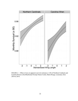 22
FIGURE 2 —Effect of size on apparent survival estimates (± SE) of Northern Cardinals and
Carolina Wrens in the Bluebonnet Swamp Nature Center, Baton Rouge, Louisiana, from
2010 to 2014.
 
