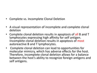 • Complete vs. Incomplete Clonal Deletion
• A visual representation of incomplete and complete clonal
deletion
• Complete clonal deletion results in apoptosis of all B and T
lymphocytes expressing high affinity for self antigen.
Incomplete clonal deletion results in apoptosis of most
autoreactive B and T lymphocytes.
• Complete clonal deletion can lead to opportunities for
molecular mimicry, which has adverse effects for the host.
Therefore, incomplete clonal deletion allows for a balance
between the host’s ability to recognize foreign antigens and
self antigens.
 