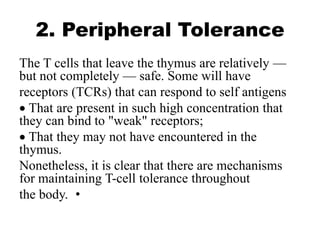2. Peripheral Tolerance
The T cells that leave the thymus are relatively —
but not completely — safe. Some will have
receptors (TCRs) that can respond to self antigens
 That are present in such high concentration that
they can bind to "weak" receptors;
 That they may not have encountered in the
thymus.
Nonetheless, it is clear that there are mechanisms
for maintaining T-cell tolerance throughout
•
the body.
 