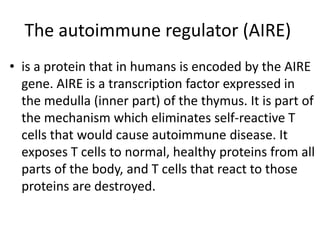 The autoimmune regulator (AIRE)
• is a protein that in humans is encoded by the AIRE
gene. AIRE is a transcription factor expressed in
the medulla (inner part) of the thymus. It is part of
the mechanism which eliminates self-reactive T
cells that would cause autoimmune disease. It
exposes T cells to normal, healthy proteins from all
parts of the body, and T cells that react to those
proteins are destroyed.
 