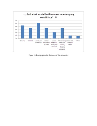 Figure 11: Emerging media - Concerns of the companies
 