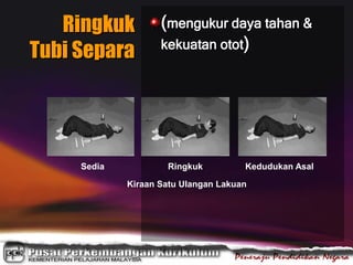 Ringkuk
Tubi Separa
(mengukur daya tahan &
kekuatan otot)
Sedia Ringkuk Kedudukan Asal
Kiraan Satu Ulangan Lakuan
 
