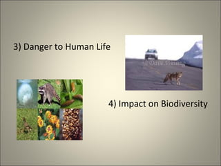3) Danger to Human Life
4) Impact on Biodiversity
 
