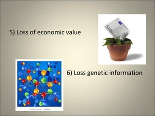 5) Loss of economic value
6) Loss genetic information
 