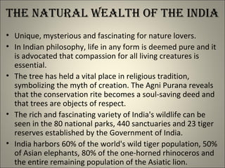 the naturaL WeaLth oF the india
• Unique, mysterious and fascinating for nature lovers.
• In Indian philosophy, life in any form is deemed pure and it
is advocated that compassion for all living creatures is
essential.
• The tree has held a vital place in religious tradition,
symbolizing the myth of creation. The Agni Purana reveals
that the conservation rite becomes a soul-saving deed and
that trees are objects of respect.
• The rich and fascinating variety of India's wildlife can be
seen in the 80 national parks, 440 sanctuaries and 23 tiger
reserves established by the Government of India.
• India harbors 60% of the world's wild tiger population, 50%
of Asian elephants, 80% of the one-horned rhinoceros and
the entire remaining population of the Asiatic lion.
 