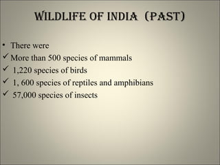 Wildlife of india (past)
• There were
More than 500 species of mammals
 1,220 species of birds
 1, 600 species of reptiles and amphibians
 57,000 species of insects
 