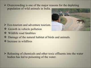  Overcrowding is one of the major reasons for the depleting
population of wild animals in India.
 Eco-tourism and adventure tourism.
 Growth in vehicle pollution
 Wildlife road fatalities
 Damage of the natural habitat of birds and animals.
 Increase in wildfires
 Releasing of chemicals and other toxic effluents into the water
bodies has led to poisoning of the water.
 