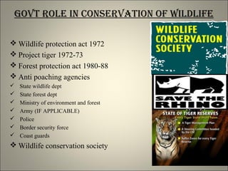 Govt role in conservation of wildlife
 Wildlife protection act 1972
 Project tiger 1972-73
 Forest protection act 1980-88
 Anti poaching agencies
 State wildlife dept
 State forest dept
 Ministry of environment and forest
 Army (IF APPLICABLE)
 Police
 Border security force
 Coast guards
 Wildlife conservation society
 