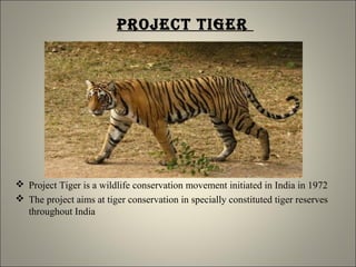 ProJect tiGer
 Project Tiger is a wildlife conservation movement initiated in India in 1972
 The project aims at tiger conservation in specially constituted tiger reserves
throughout India
 