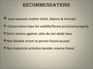 recommendations
 Love towards mother Earth ,Nature & Animals
 Conservation laws for wildlife/forest practiced properly
Strict actions against ,who do not abide laws
Non Balable arrest to person found acused
Non industrial activities besides reserve forest
 