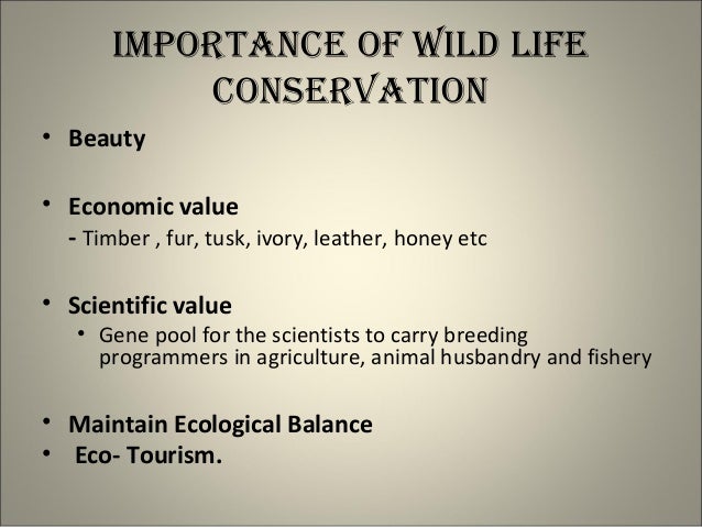 Importance Of Conservation Of Wildlife