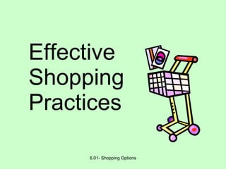 Effective Shopping Practices 6.01- Shopping Options 