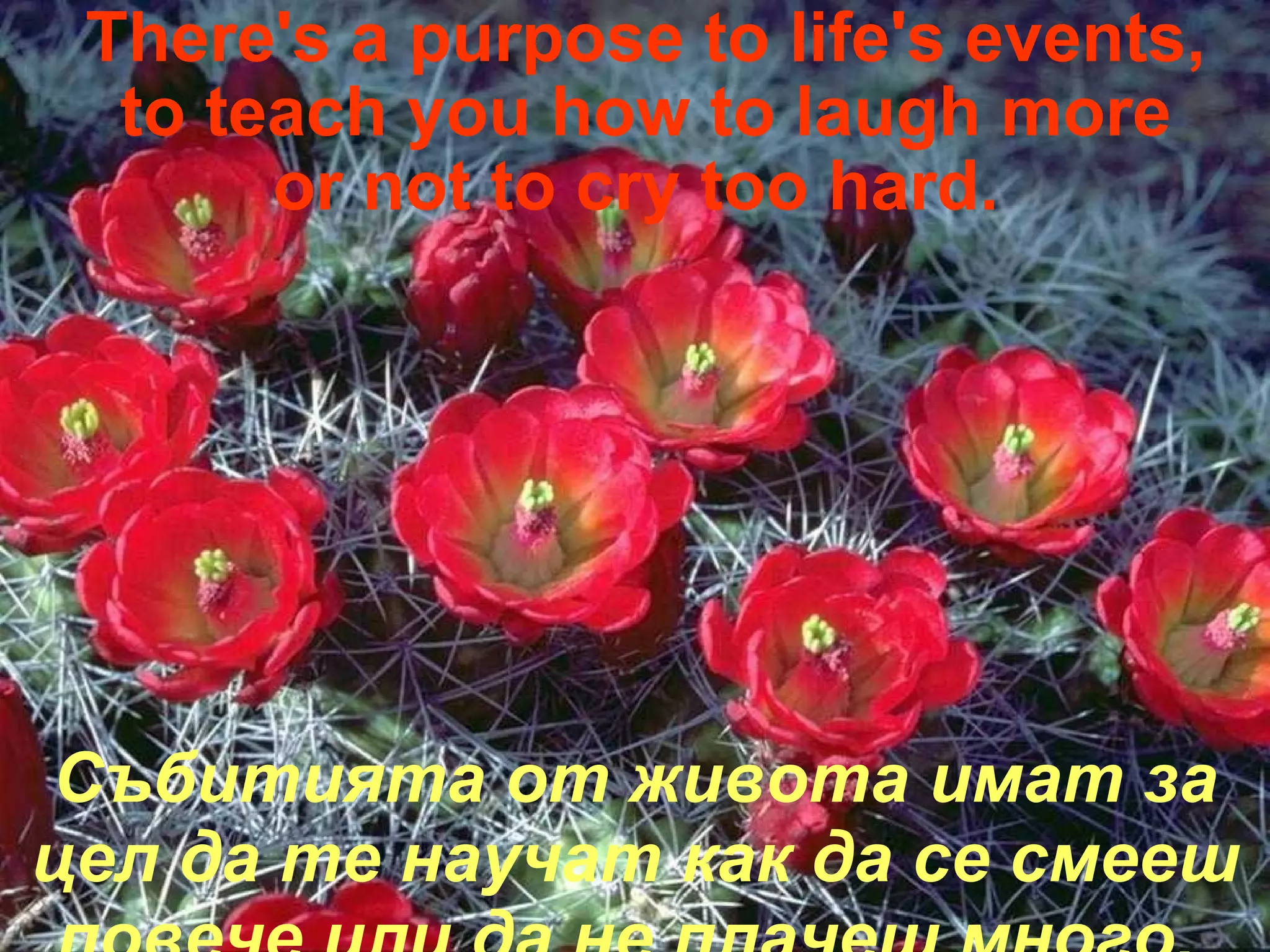 There's a purpose to life's events, to teach you how to laugh more or not to cry too hard.  Събитията от живота имат за цел да те научат как да се смееш повече или да не плачеш много.  