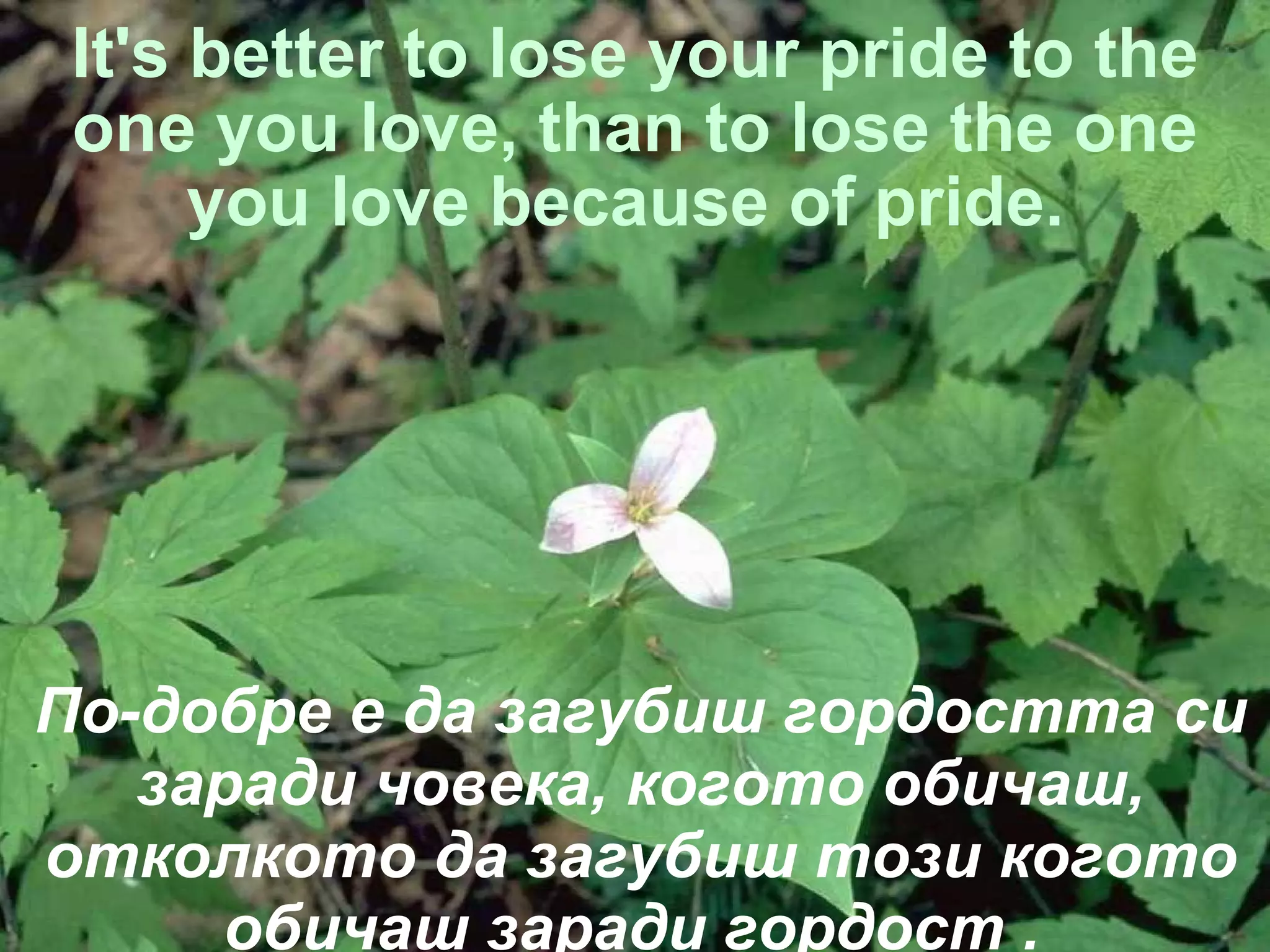 It's better to lose your pride to the one you love, than to lose the one you love because of pride.  По-добре е да загубиш гордостта си заради човека, когото обичаш, отколкото да загубиш този когото обичаш заради гордост   .  
