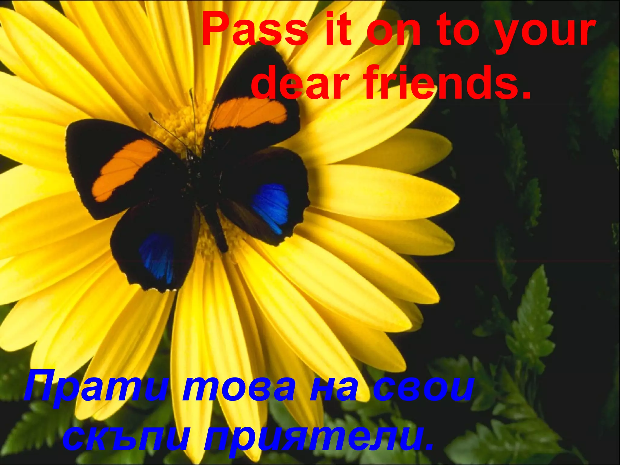 Прати това на свои скъпи приятели. Pass it on to your dear friends.  