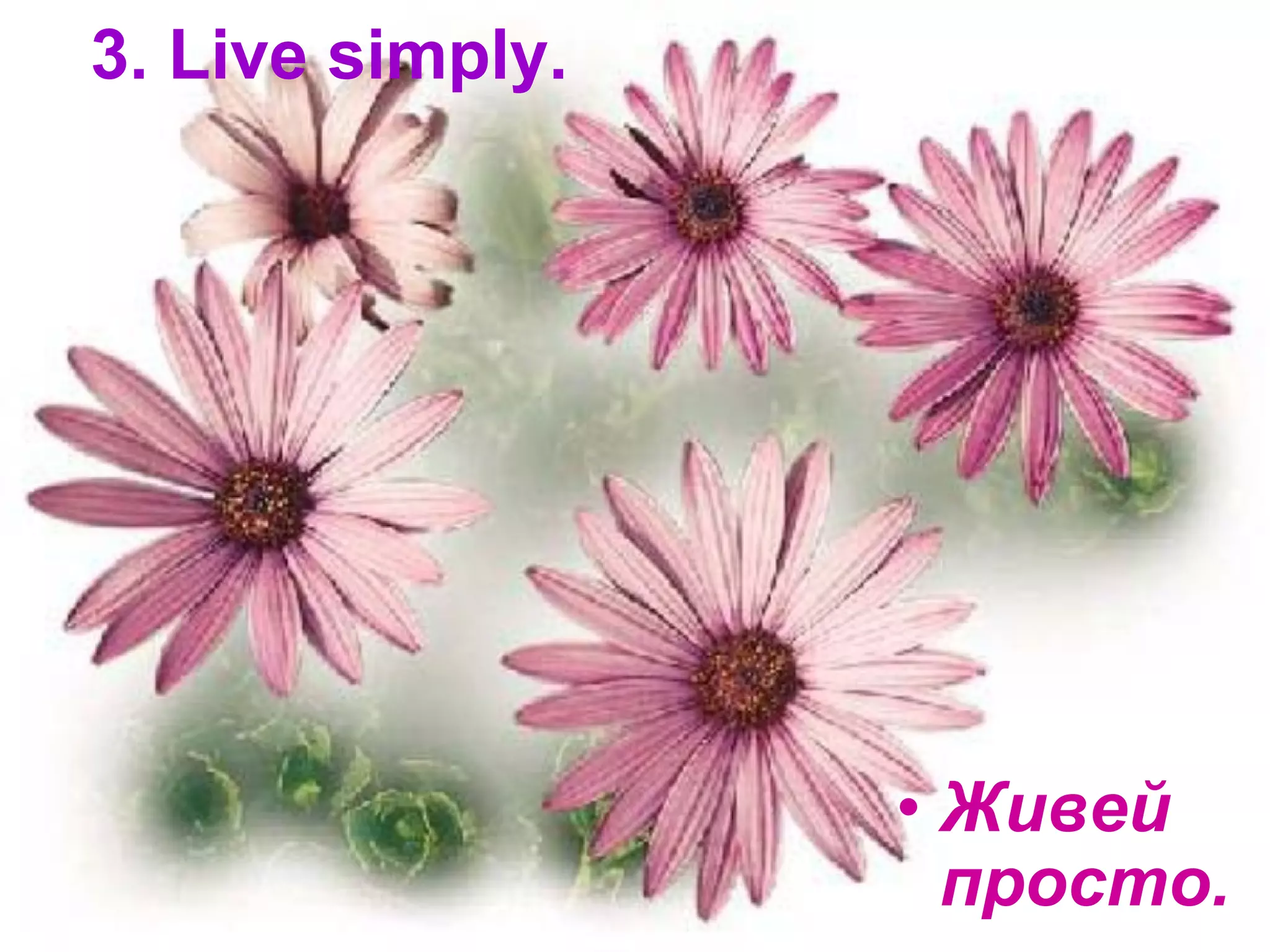Живей просто. 3. Live simply. 