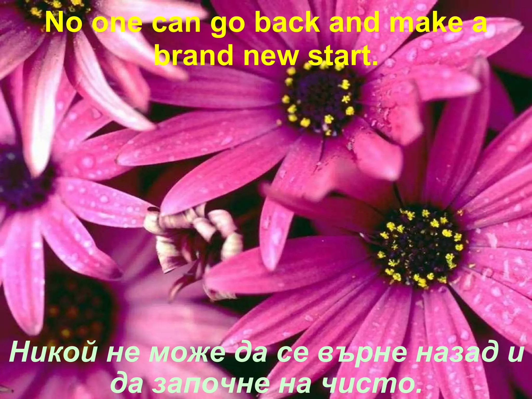 Никой не може да се върне назад и да започне на чисто. No one can go back and make a brand new start. 